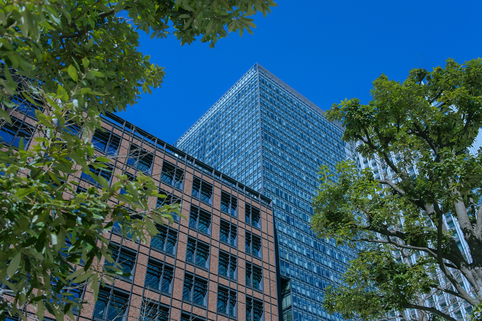 Polarisation croissante du marché des bureaux à Tokyo : Analyse et impacts