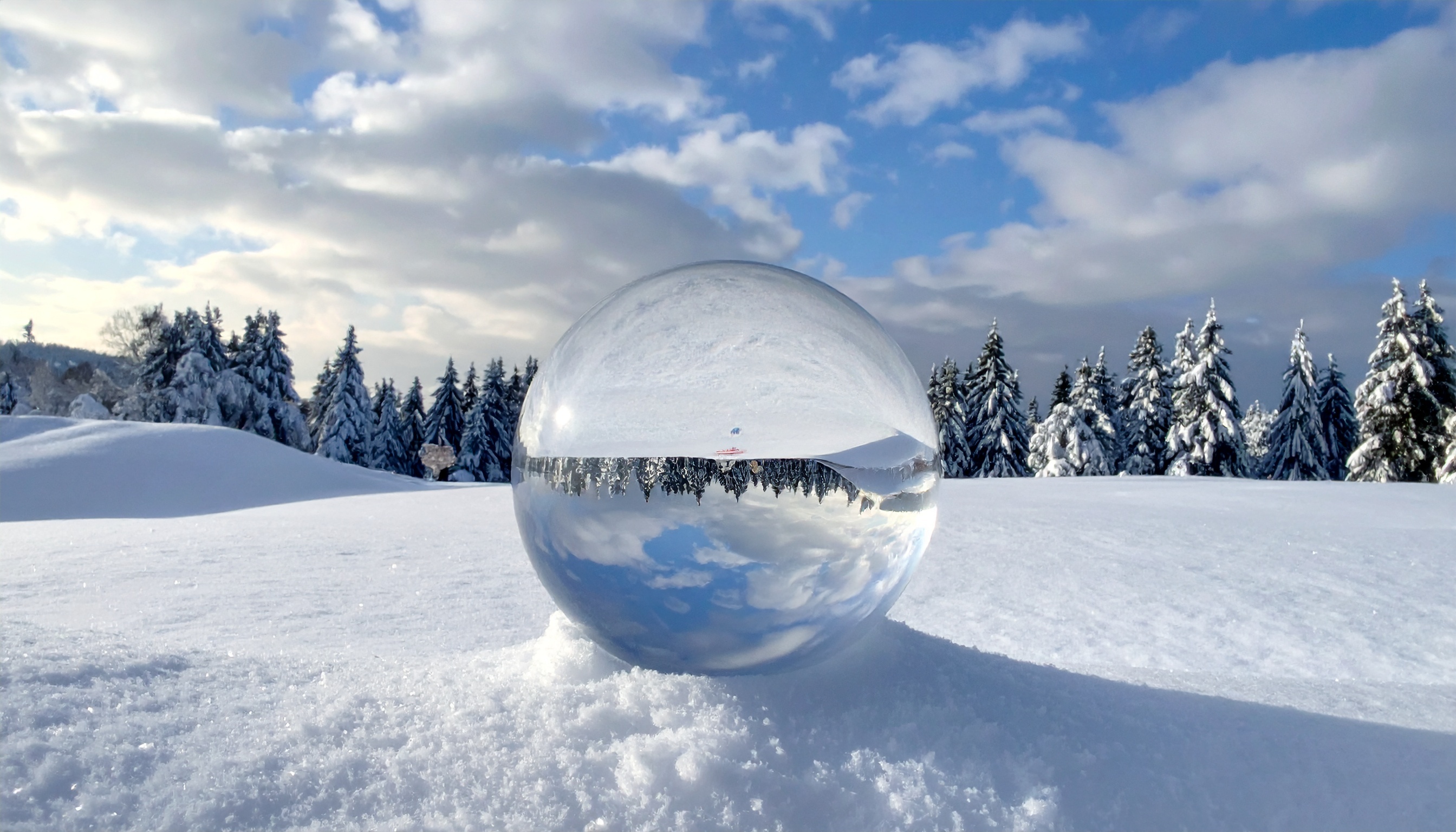 Real Estate Digital Transformation: Definition, Case Studies ...