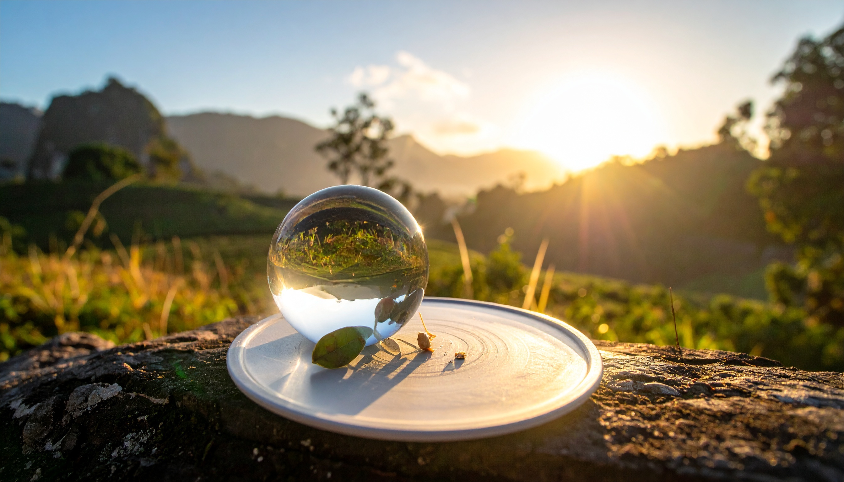 Quel est l'impact du personal branding sur la croissance des employés ? Un cercle vertueux entre réalisation personnelle et valorisation de l'entreprise